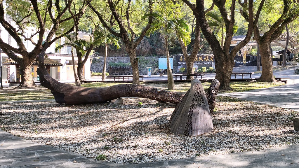 照片3